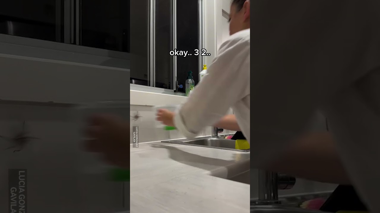 Spider Catch And Release Gone Wrong 😂🕷️