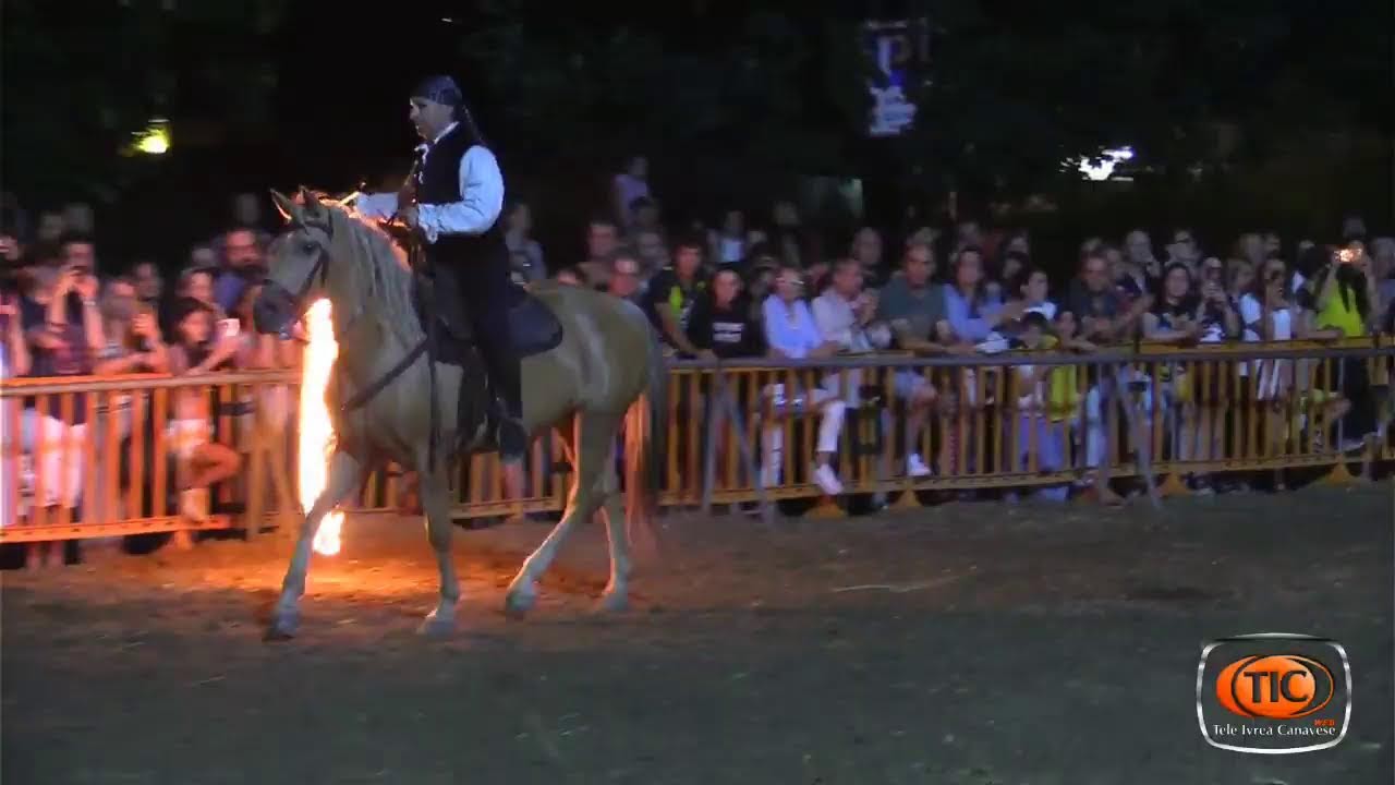 Ivrea - Speciale San Savino: spettacolo serale equestre e cinofilo domenica 6 luglio