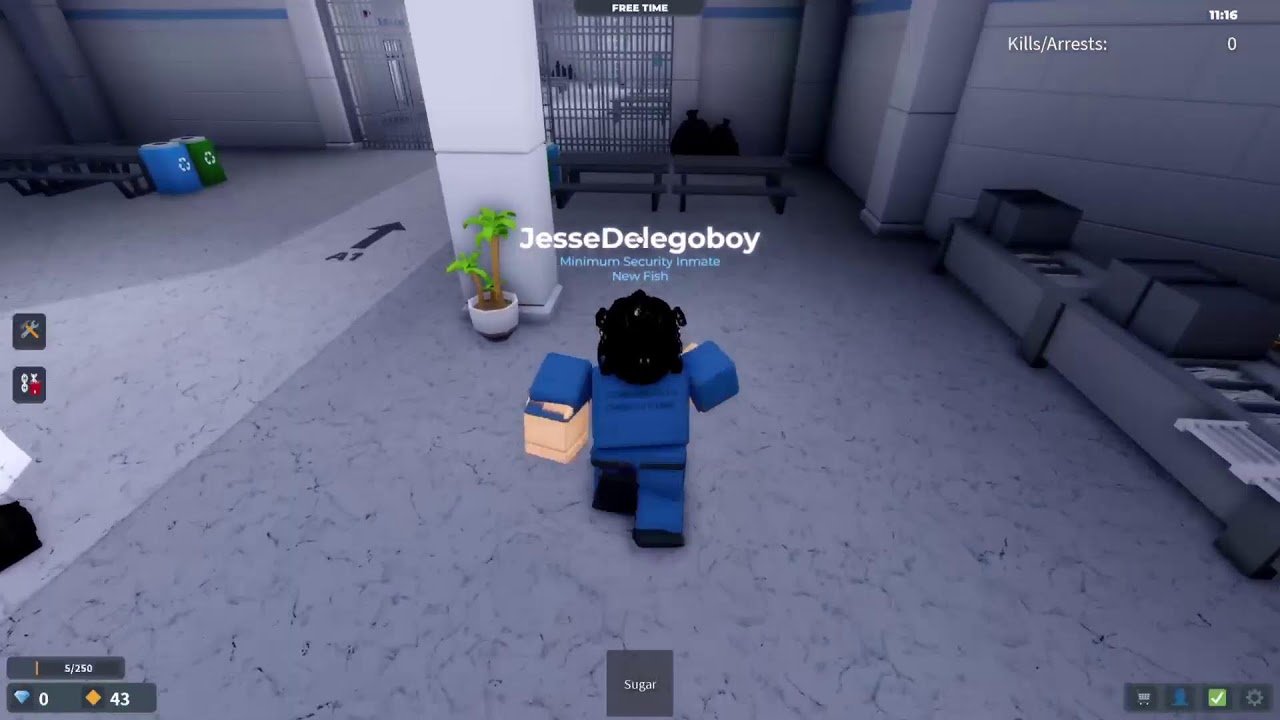 Live PS5.🇳🇱🌍Roblox