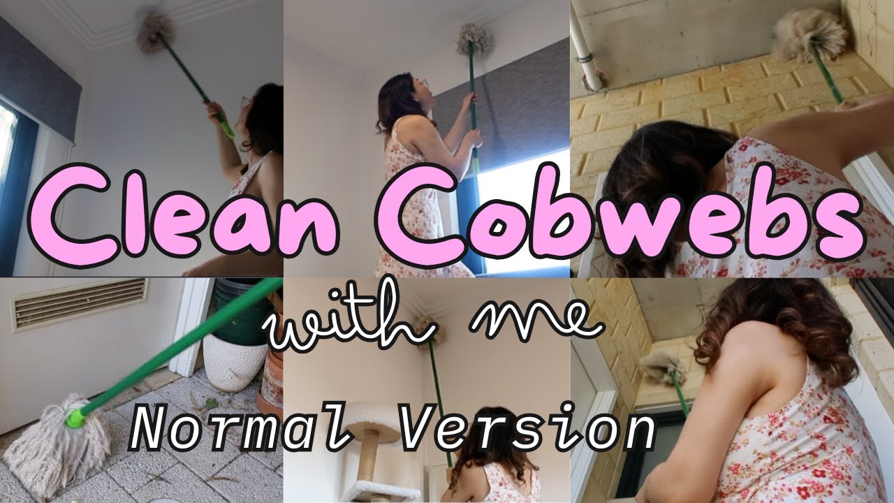 cobweb cleaning (slow cinematic version) #cleaning motivation #cleanwithme #cobwebs