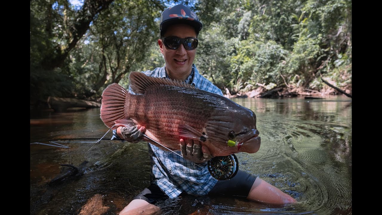 In Search of the Borneo Crimson Juggernauts (Prelude)