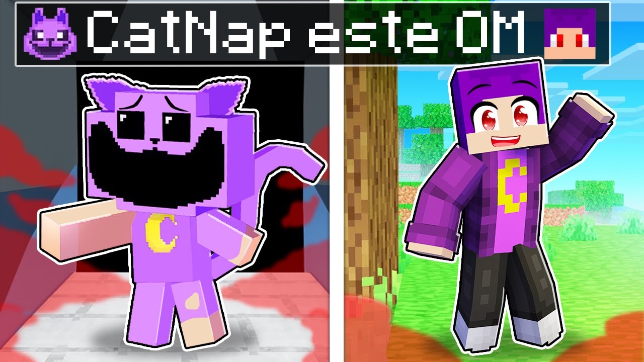 CatNap a *DEVENIT* Om...