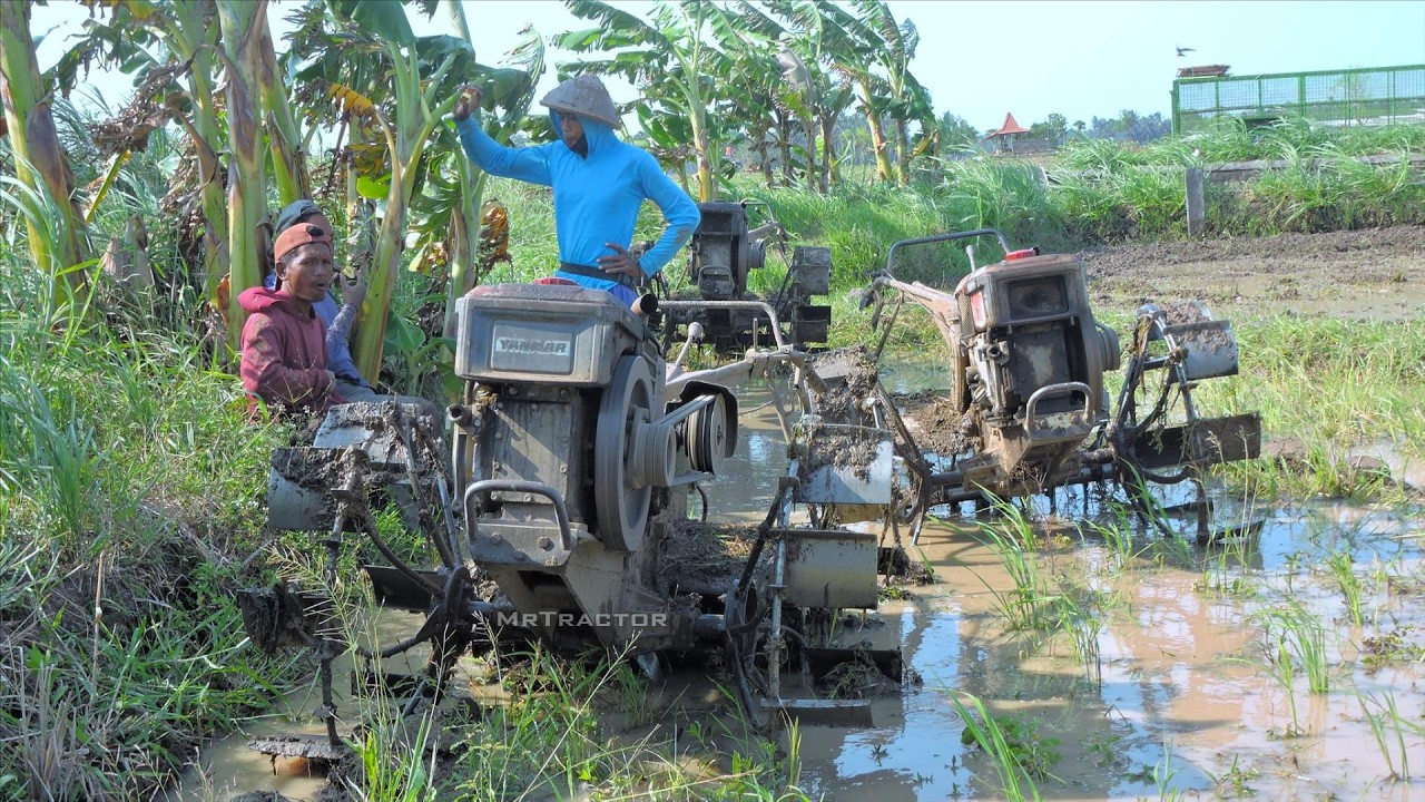 Roaring Diesel Beast Tears Through Former Rice Fields — Two-Wheel Tiller Tractors in Action!
