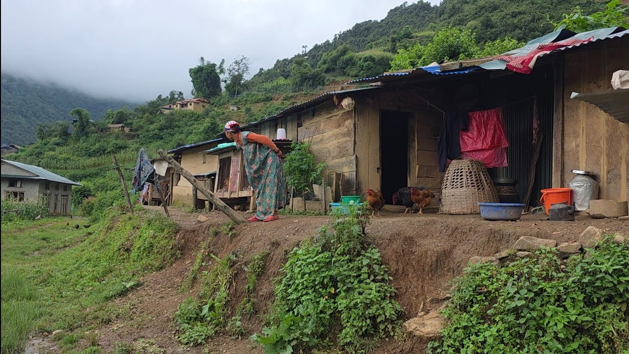 Real Nepali Mountain Village Life During the Rain | Peaceful Rural Lifestyle & Organic Food Cooking