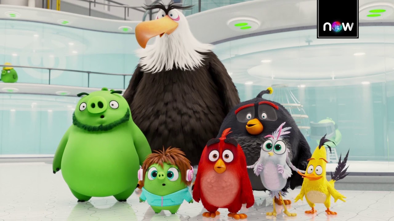 Assista Angry Birds – O Filme no NOW | Claro