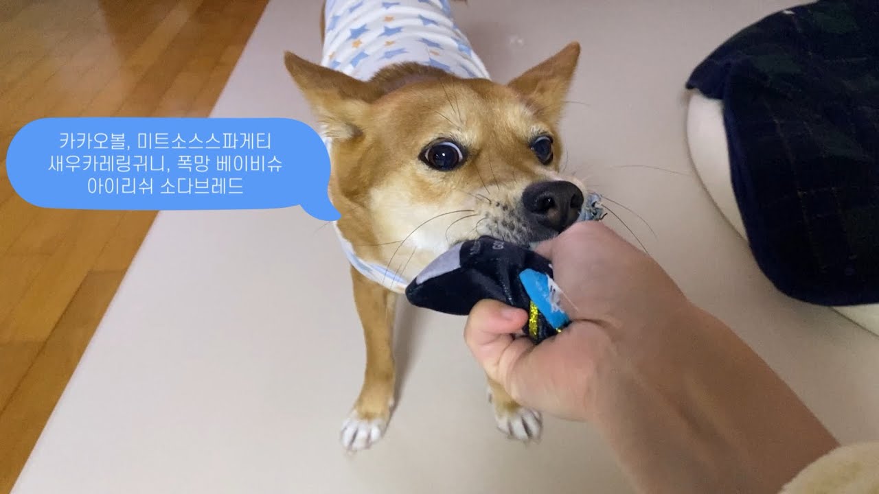 베이킹이 이렇게까지 망할 수 있다고? | cream puffs gone wrong