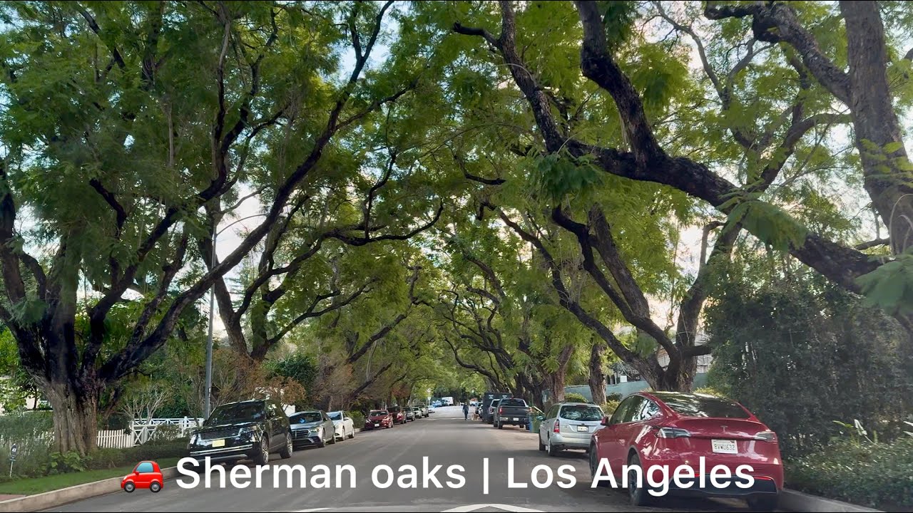 A Calm Drive Through Sherman Oaks | Beautiful & Quiet LA Neighborhood