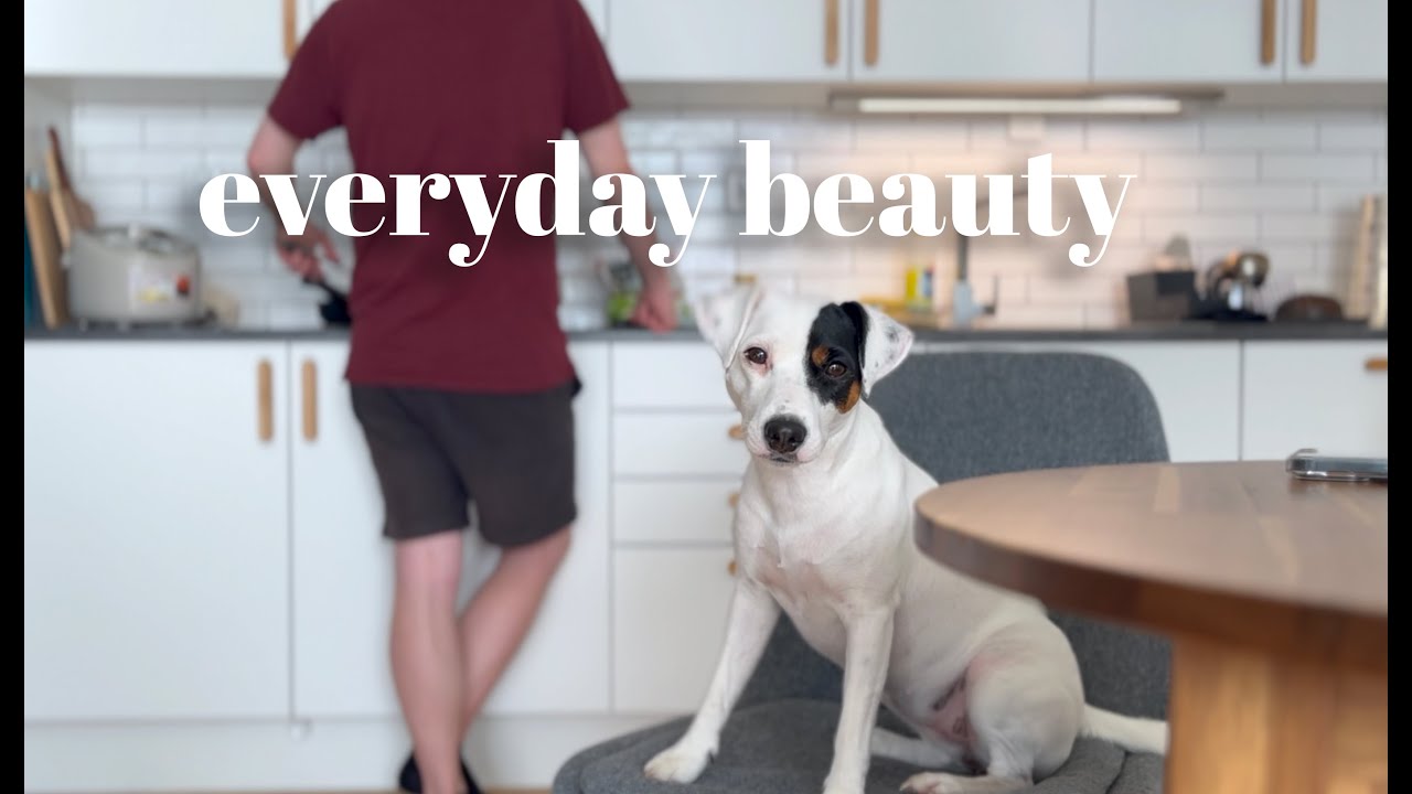 Simple living with a dog, Norway / silent vlog