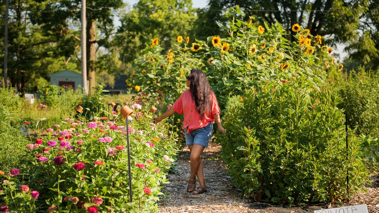 Garden tour 🌿This community garden space is gold!
