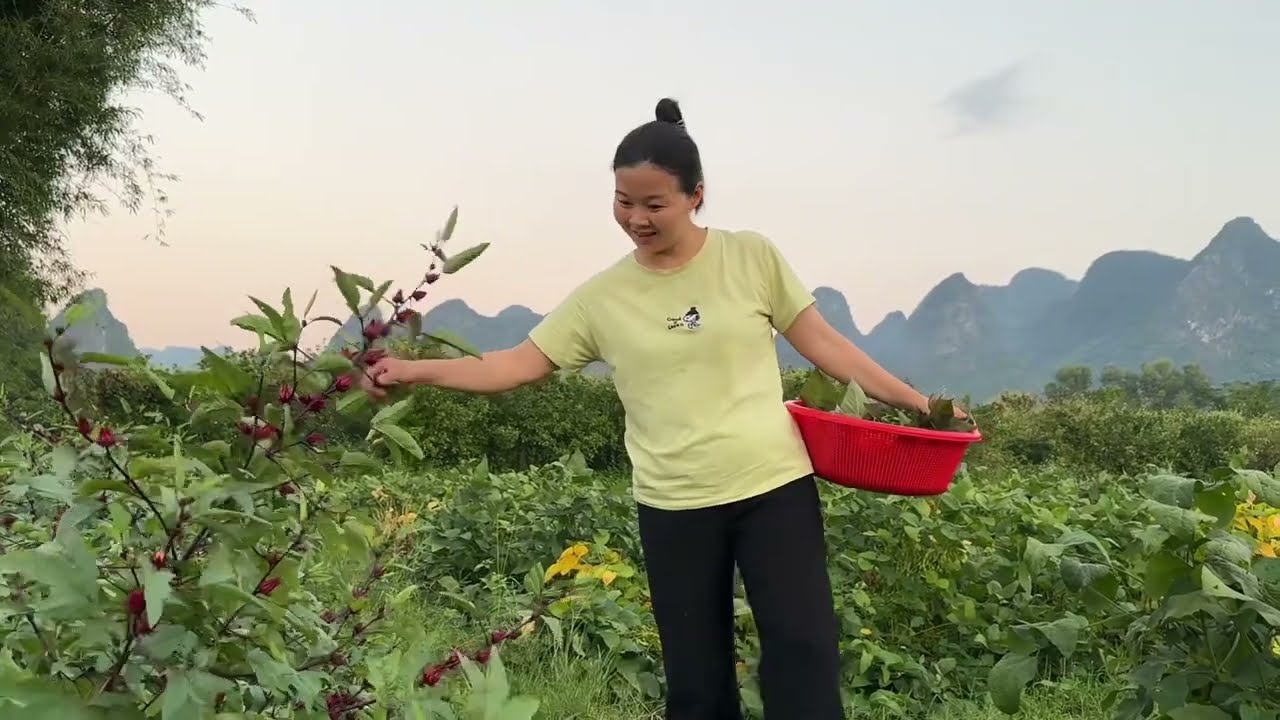 厨房第三天装修，网友特别羡慕高端大气，都说小翠嫁给阿金嫁对了