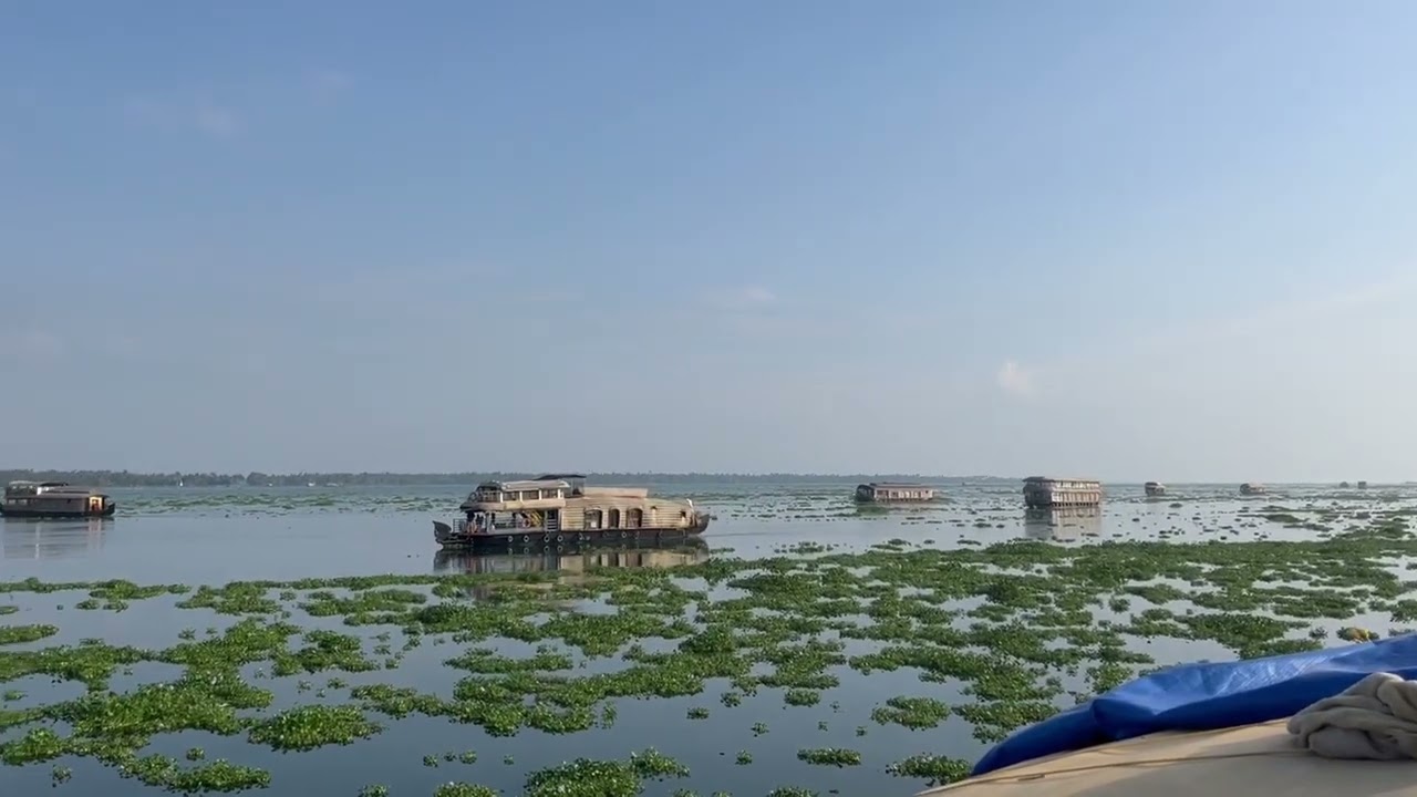Houseboats in the Kerala Waterways