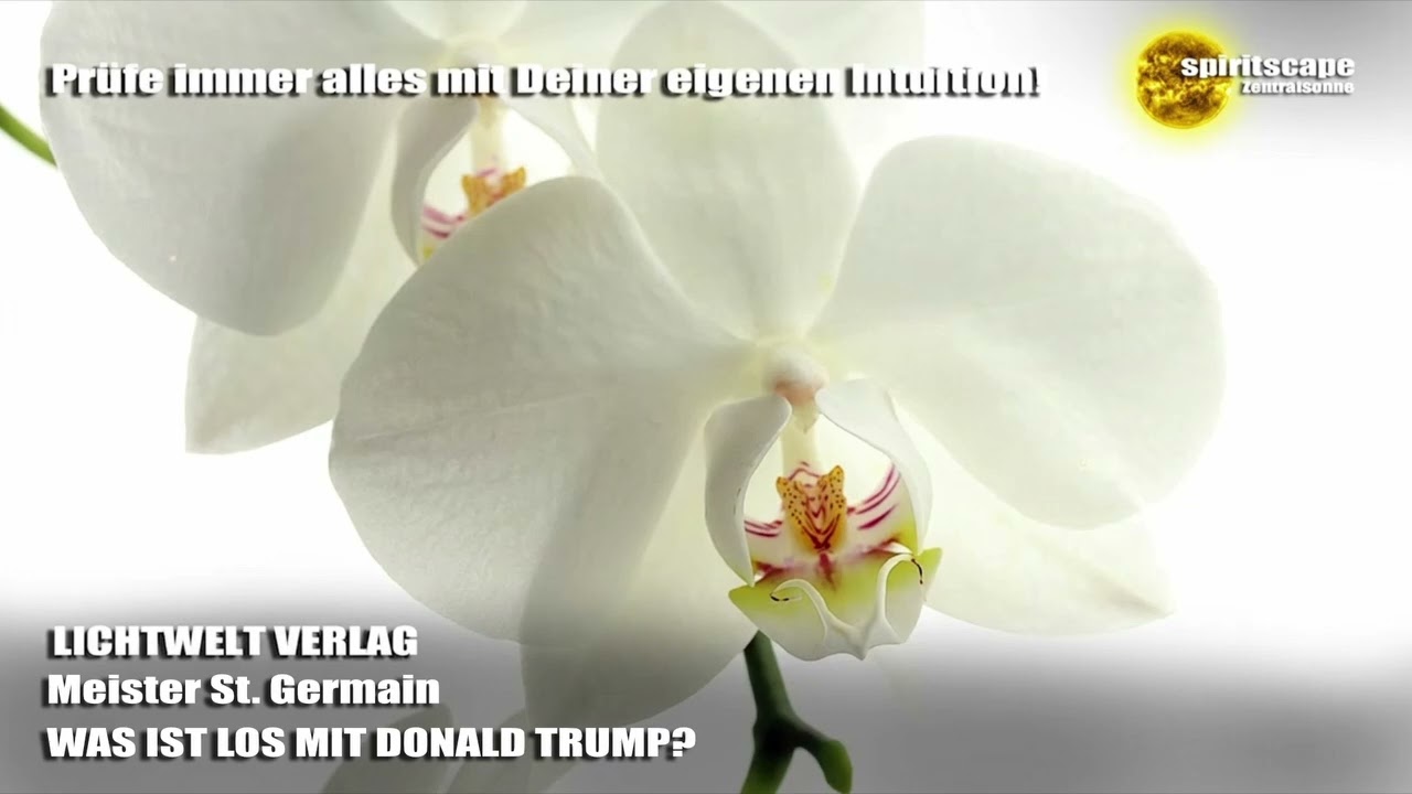 Meister St. Germain - WAS IST LOS MIT DONALD TRUMP - LWV
