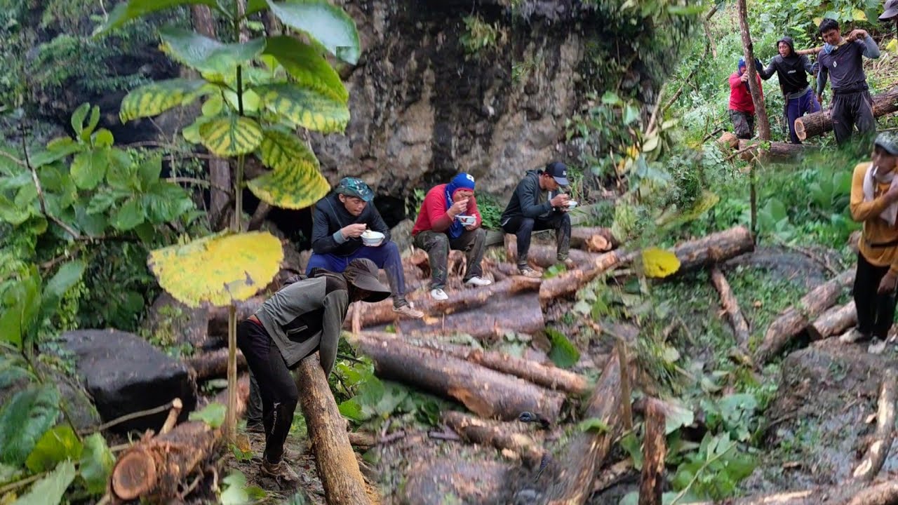 seperti ini kondisi dan lokasi pengambilan kayu jati hari ini,hujan,becek,licin dan dan berbatu