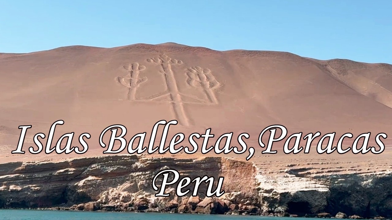[남미여행]#3/바예스타섬 보트투어/이카/파라카스/Paracas/Ica/Peru