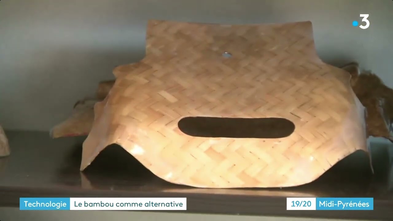 Reportage : Le Bambou et son utilisation industriel