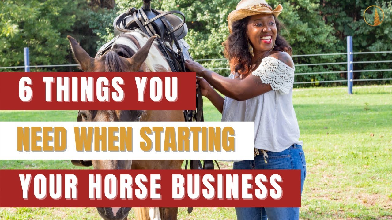 6 Things You Need To Do Before Starting Your Horse Business
