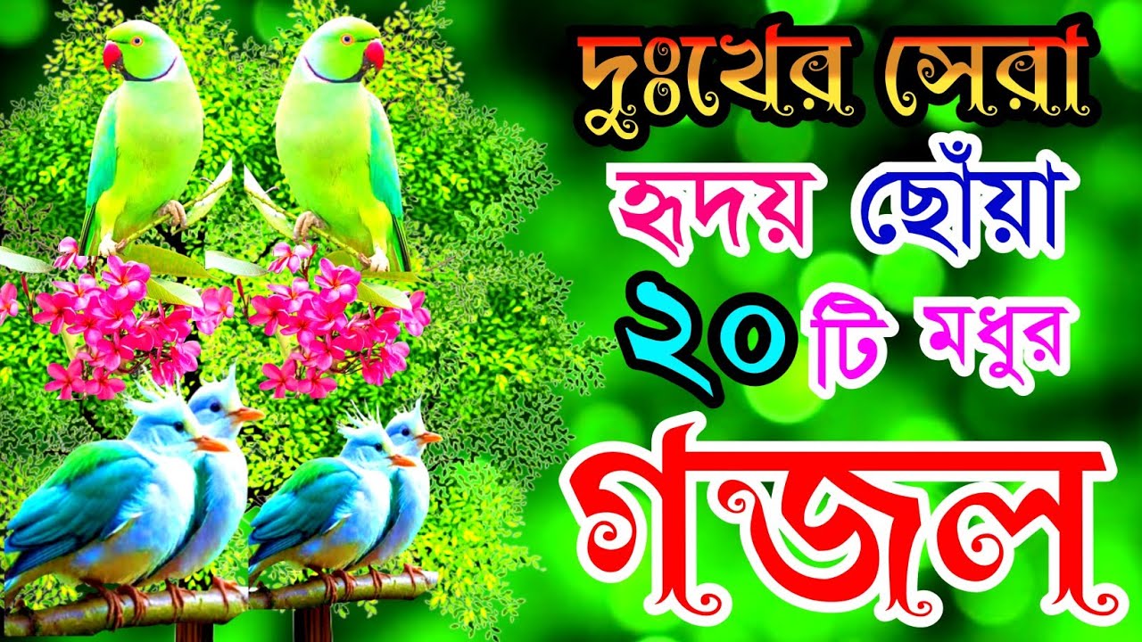 দুঃখের সেরা হৃদয় ছোঁয়া ২০টি গজল |বাংলা বাছাইকৃত গজল |New Selected Gajal | New Gojol | Bangla Gazal