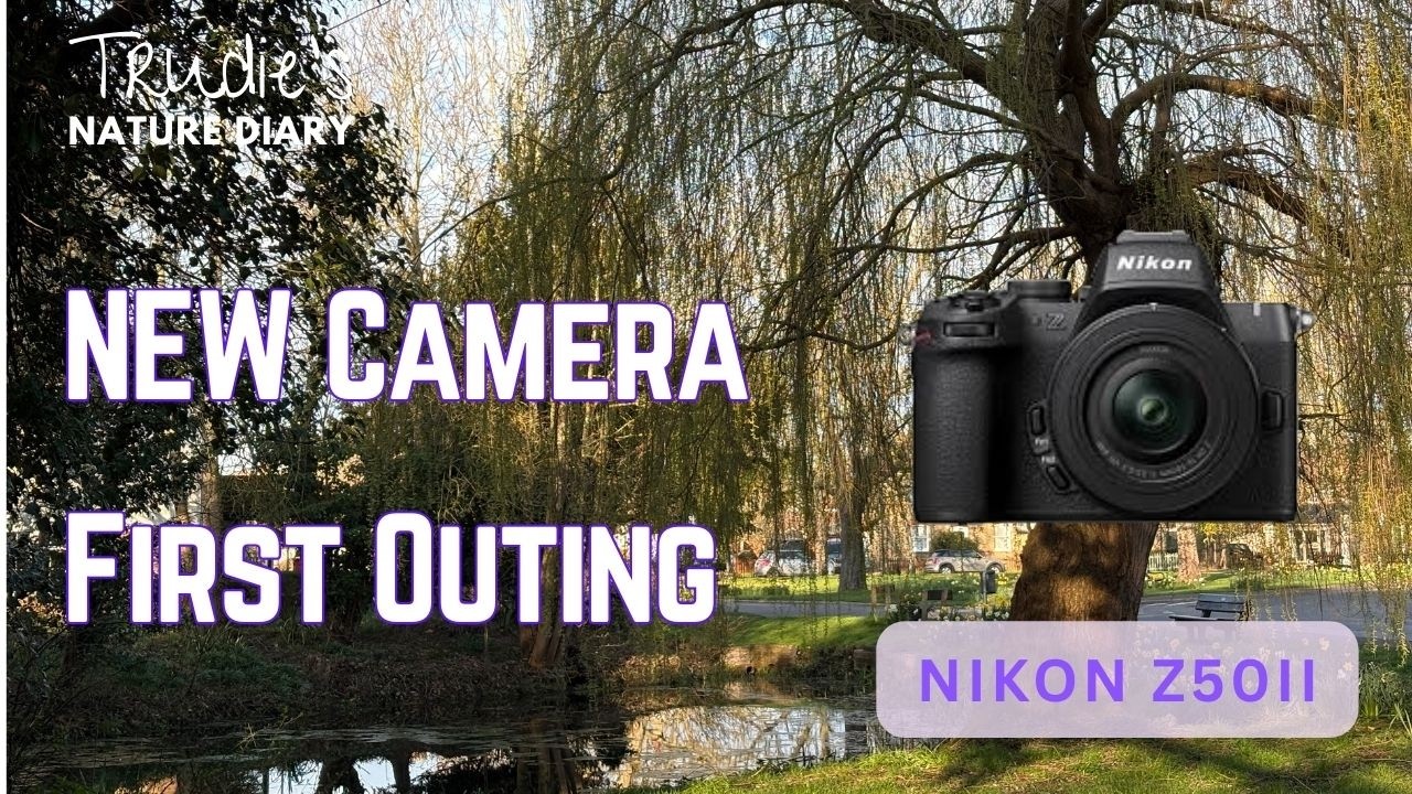 New camera | Nikon Z50ii | Nature Diary | Wildlife Photography