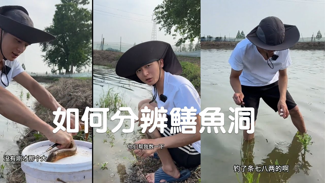 包下了一块养小龙虾的塘，估计今天肯定有的搞，我来教你如何分辨鳝鱼洞#viralvideo #捕鱼