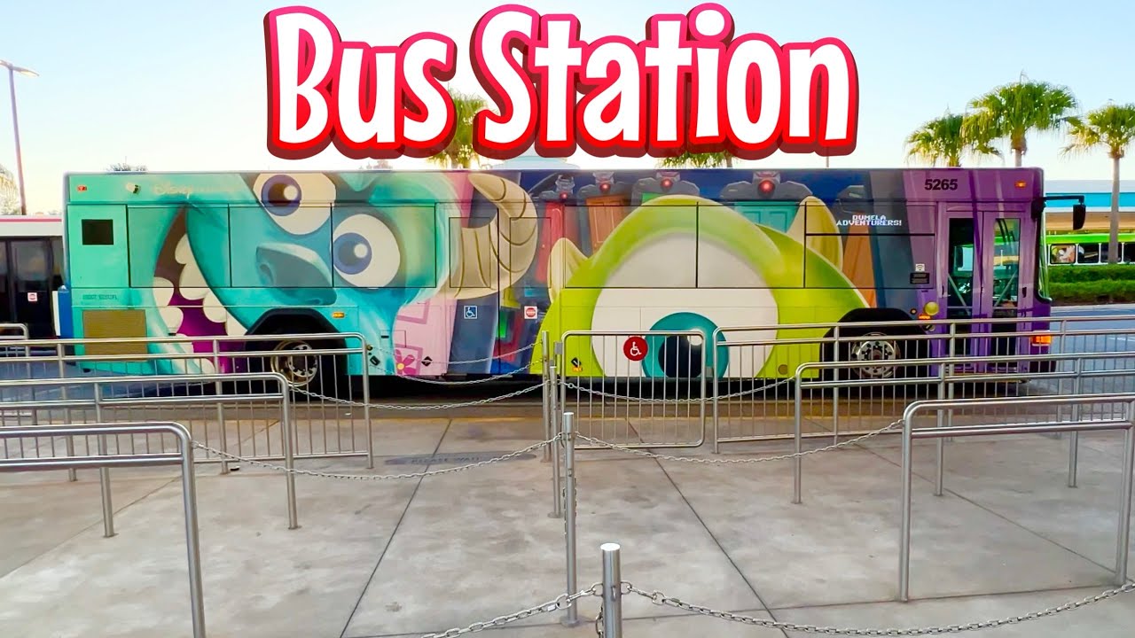 Bus, Buses, Disney World Bus Station, Bus Driver, Bus Driving, Disney Bus, Hollywood Studios Bus