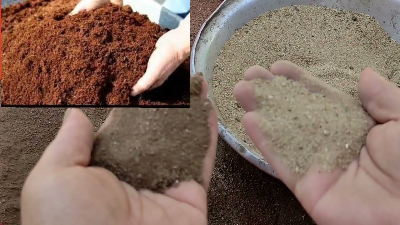 ايه هي التربه المناسبه لبيت السلاحف (تربه زراعيه ولا رمله بناء ولا بتموس)🤔