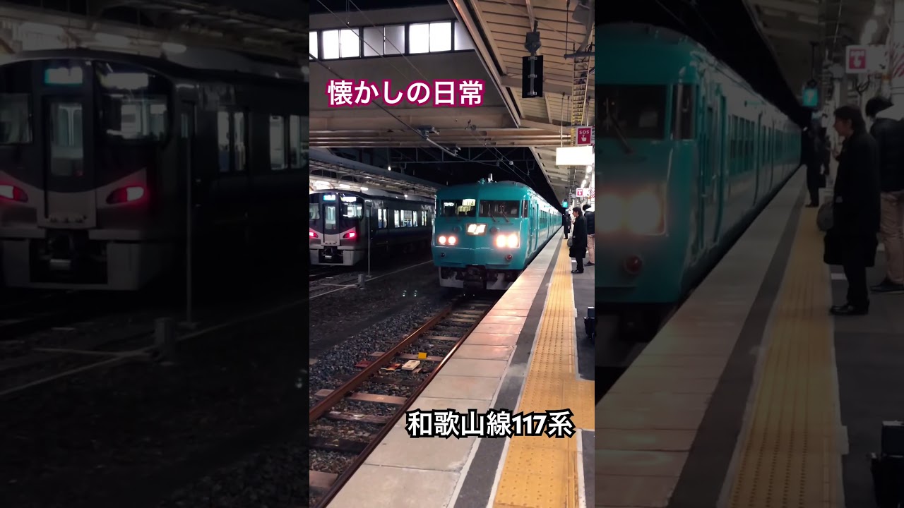 【今はなき国鉄車】和歌山線117系　2019.1.11 和歌山駅 #train #117系 #和歌山駅