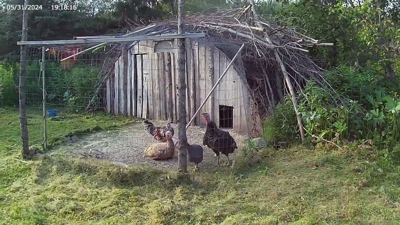 Farming in Alaska RAW