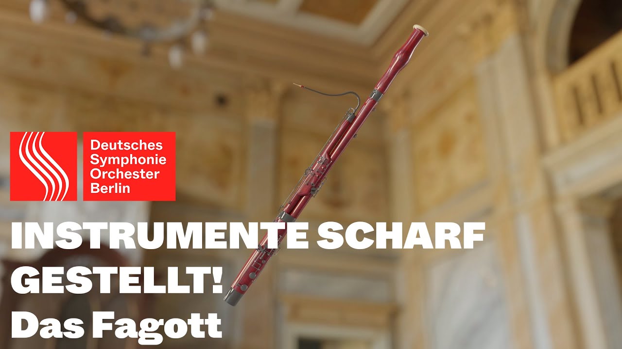 Instrumente scharf gestellt! Das Fagott - Karoline Zurl