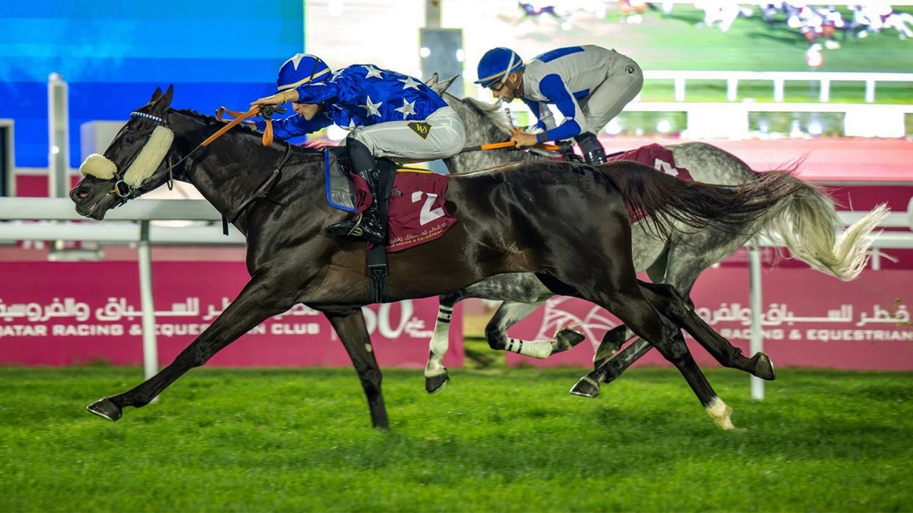 RM 56  Al Rayyan Race 5 - Al Wakra Cup