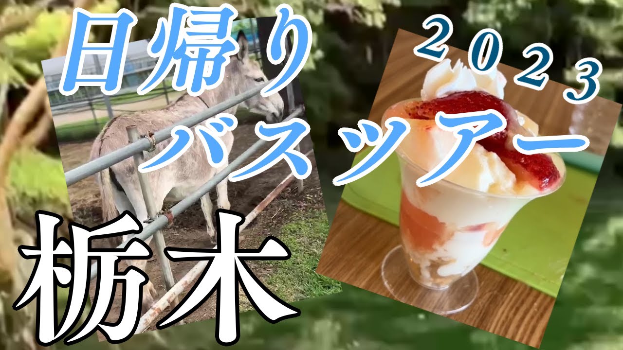 【初夏の栃木】日帰りバスツアーに参戦！【2023.7】
