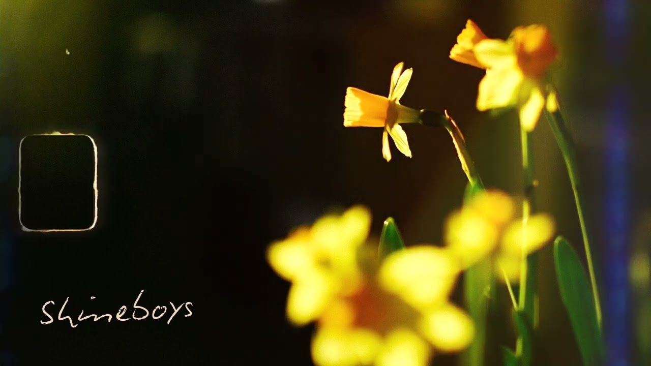 ดารารัตน์ | Shineboys「Official Audio」