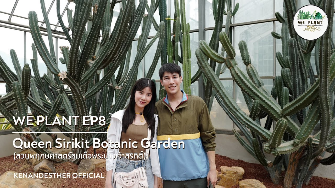 สวนพฤกษศาสตร์สมเด็จพระนางเจ้าสิริกิติ์ | We Plant | EP8