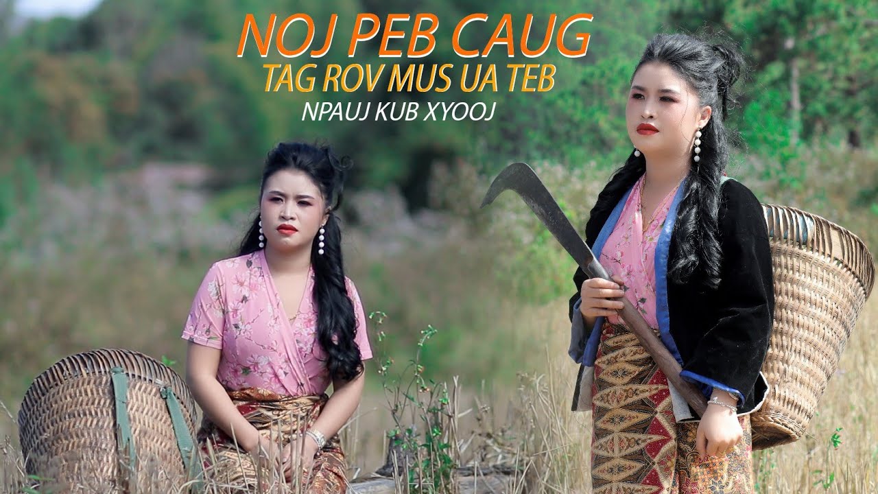 npauj​ kub​ xyooj​ noj​ peb​ caug​ tag​ yuav.​rov​ mus​ ua​ teb