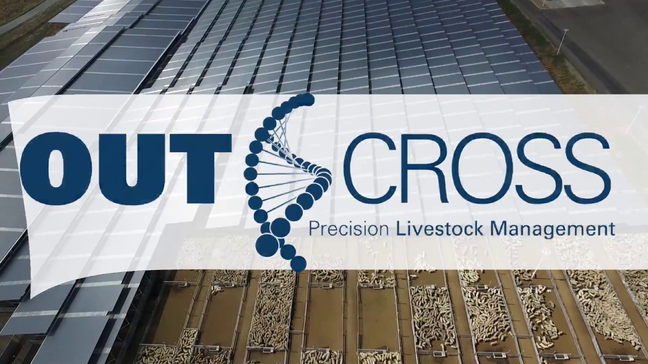 OutCross  -  Best practice sale management