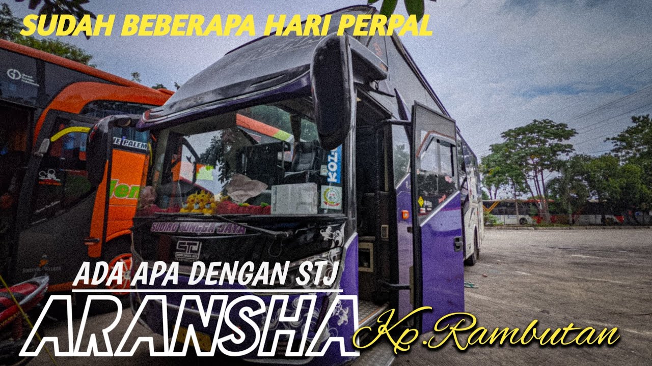 Ada apa dengan stj aransha sudah beberapa hari perpal di terminal kp.rambutan