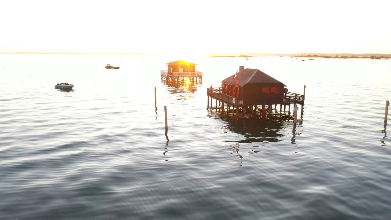 2019 sur le Bassin d'Arcachon