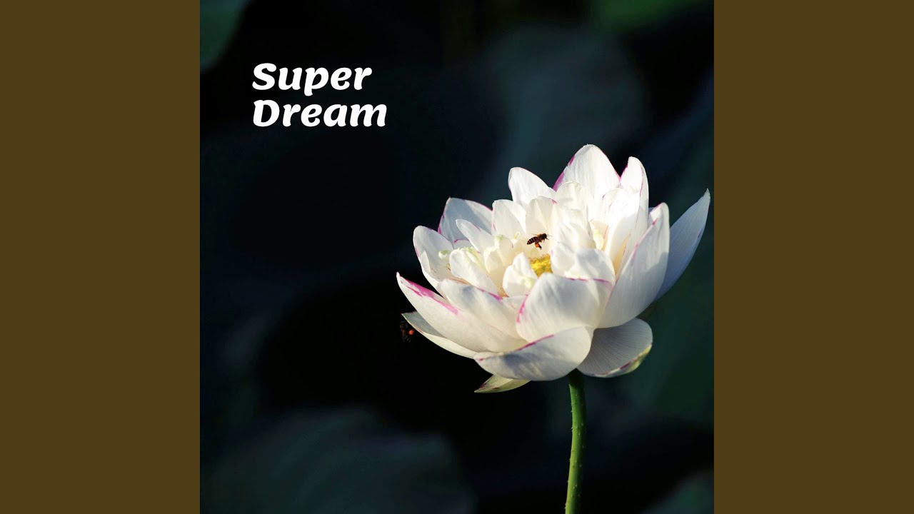 Silver Ocean
