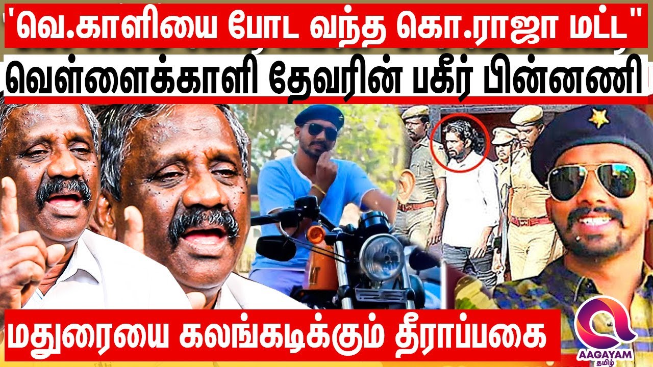 வெள்ளைக்காளி - கொட்டு ராஜா - குருசாமி - எல்லாமே பங்காளிங்க ஆனா தீராப்பகை?|Vellaikali devar| Madurai