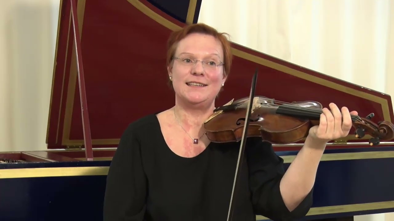 Darmsaiten auf der Violine?