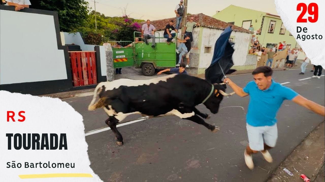 Tourada na Rua do Emigrante S. Bartolomeu com Touros RS 86, 11, 13, 21 - 29 de Agosto 2025  