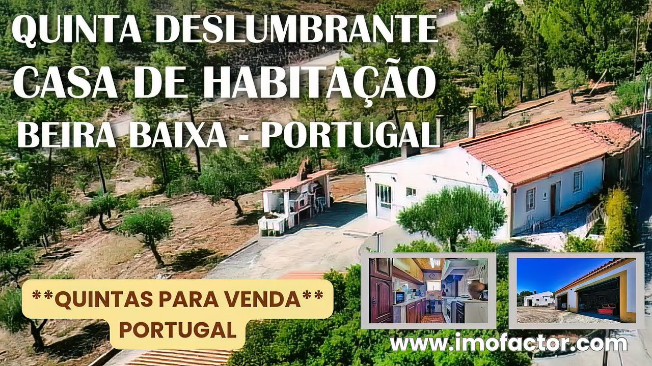 🌄 Quinta Deslumbrante com Casa de Habitação | Para Venda - Portugal | Vendido