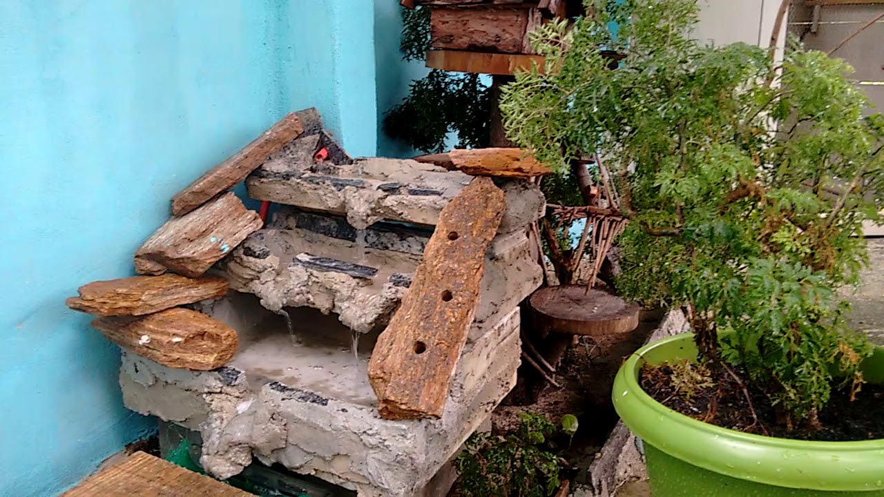 Viveiro de pássaros grande com canários belga vídeo 2