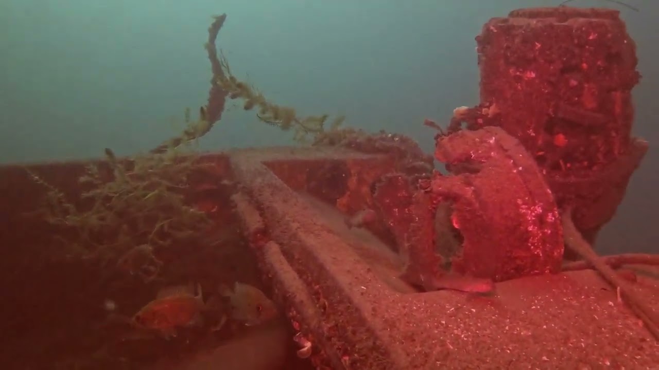 Robert Gaskin Wreck Diving From Centeen Park - 2025 10 12 - Plongée - Épave - Brockvile - Ontario