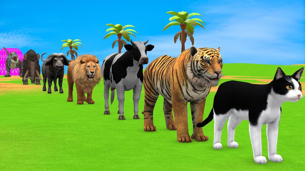 Long Slide Game with Cow Elephant Gorilla Hippopotamus Tiger 3d Animal Game Funny 3d Animals