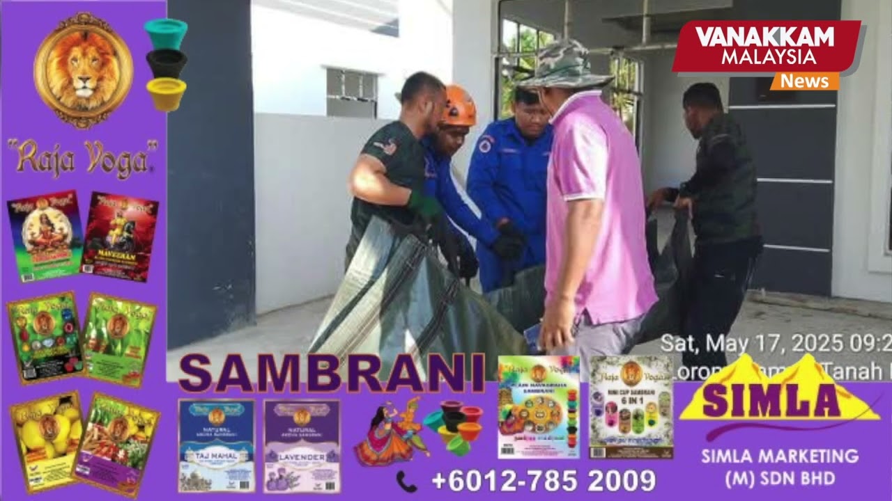 Sun bear enters home, causes chaos in Pekan residential area