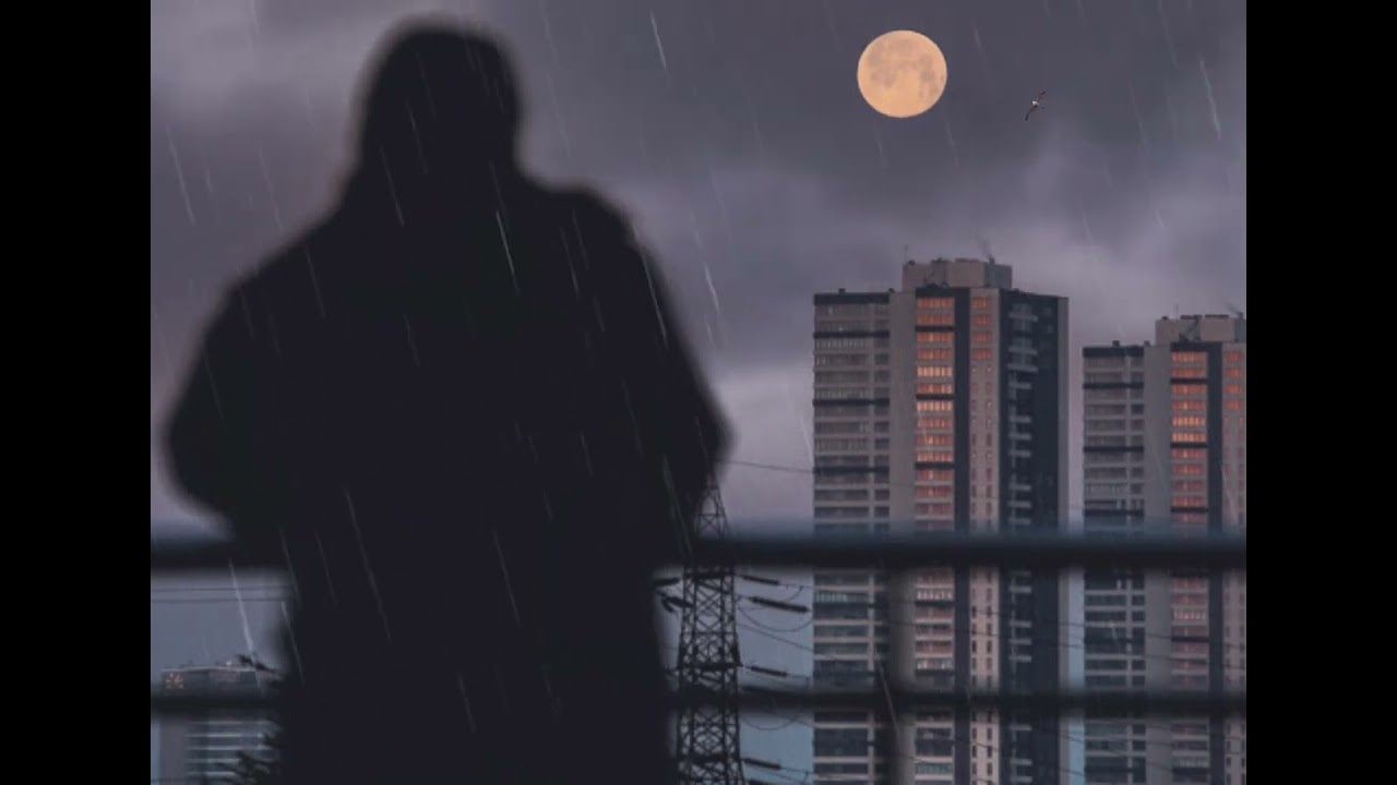 مسار الحياة 11