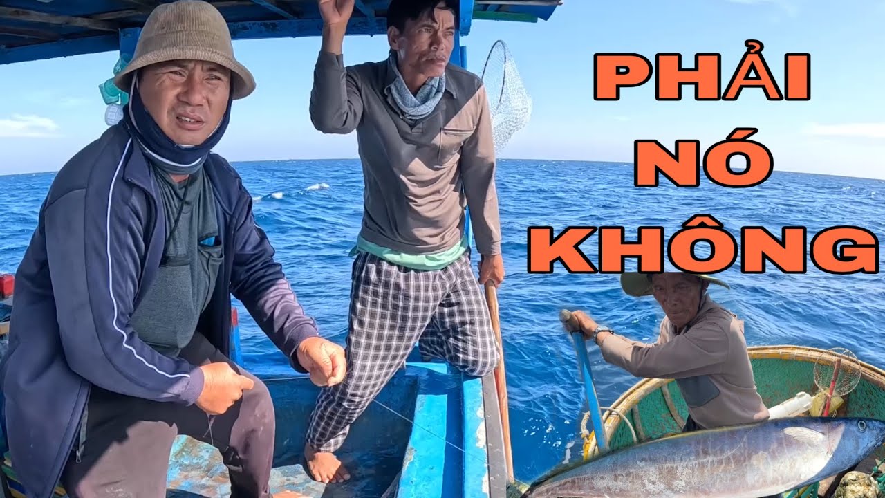877 ) CHẮC LÀ NÓ RỒI , NÓ ĐI NỔI KHÔNG MÀ .