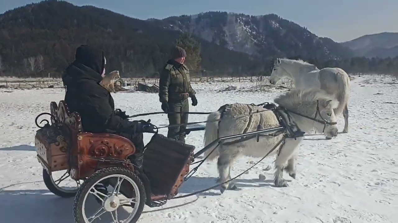 Сборы