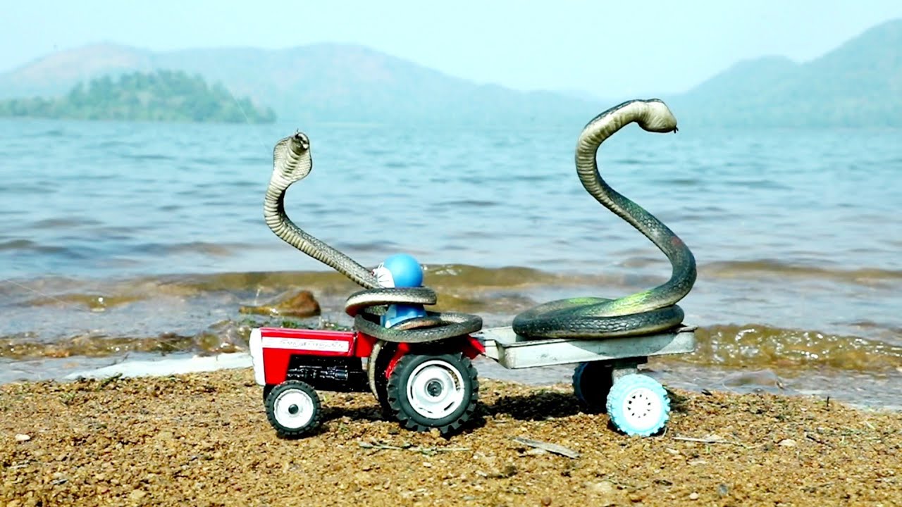 Jcb Fully Loading Snake Eggs Massey Ferguson Di 9000 Tractor | Mini Ace Pickup | CS kids toy