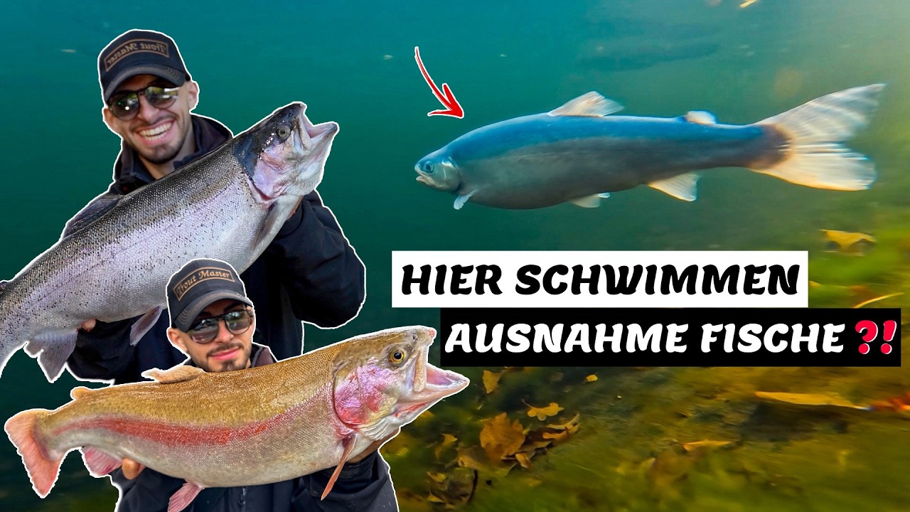 Wahnsinnsfische in diesem Forellensee 😱 | Ultra Light auf Forellen - Spoon & Gummifische